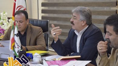 حامد حیدری