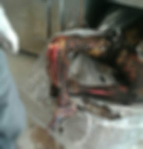صادق برمکی